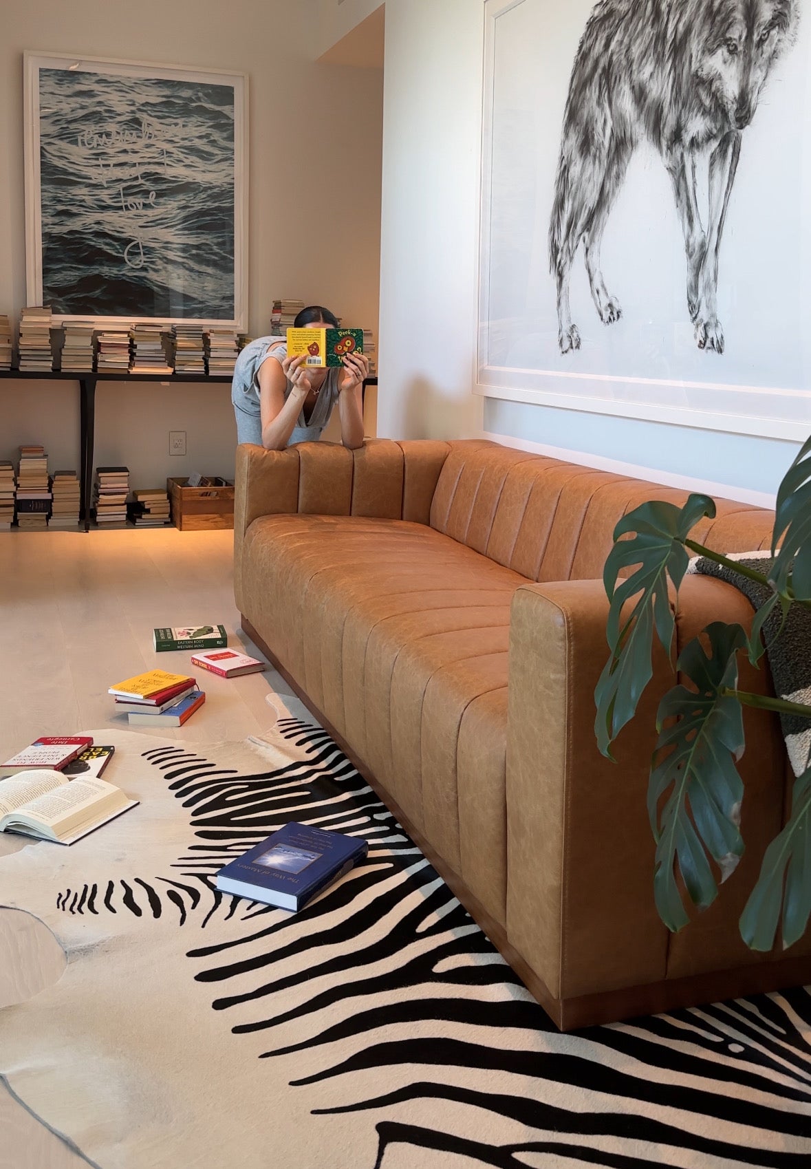 reading books decluttering library organized